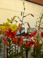 Foto: Dr. Peter Müller